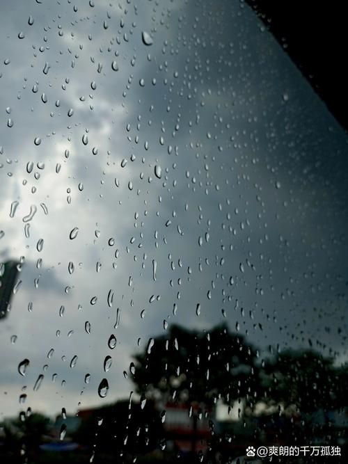 雨一直下气氛不算融洽：同屋檐下爱情的无奈与挣扎