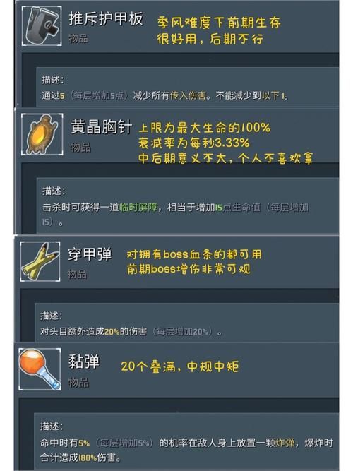 雨中冒险2装备搭配攻略：轻松应对各种BOSS挑战