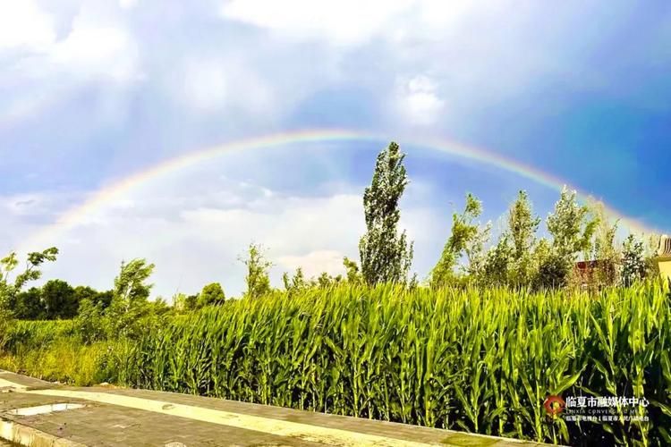 雨后彩虹的寓意：希望、美好与积极人生的象征