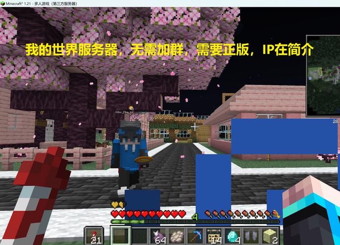零基础也能学会MC服务器搭建：轻松拥有你的私人世界