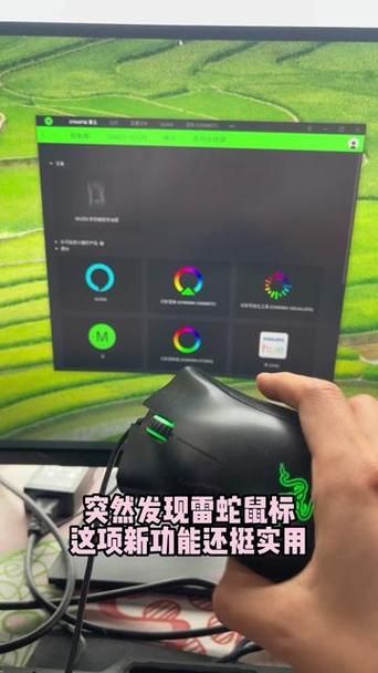 雷蛇宏设置教程：快速上手玩转你的雷蛇设备