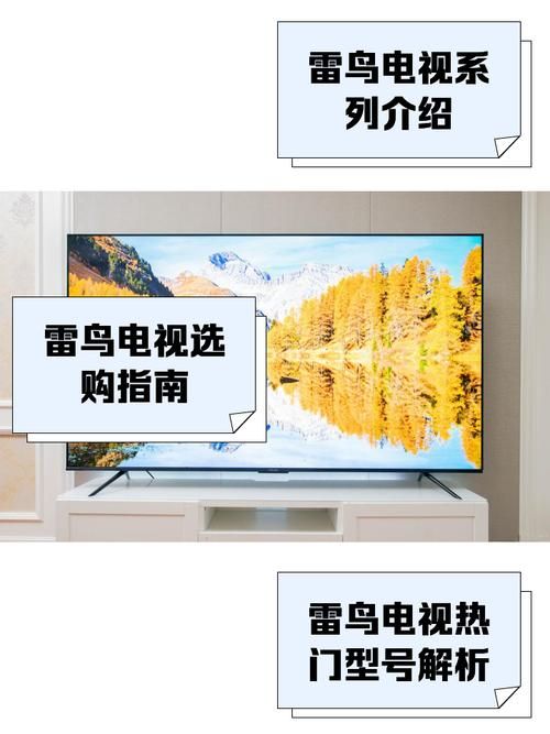 雷鸟口袋电视好用吗？用户真实体验分享