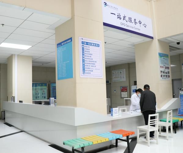 青岛人社网：社保查询、业务办理，一站式服务全搞定！