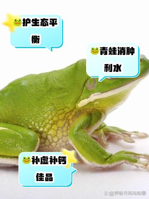 青蛙的食物有哪些？满足青蛙营养需求的喂食指南