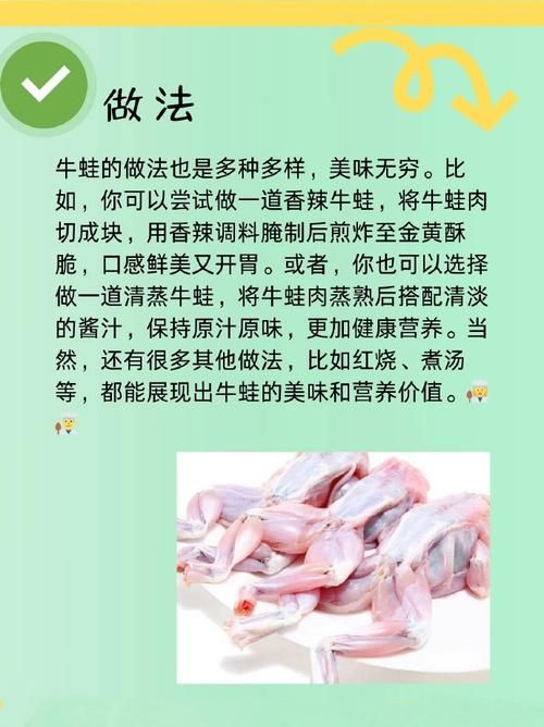 青蛙的食物有哪些？满足青蛙营养需求的喂食指南