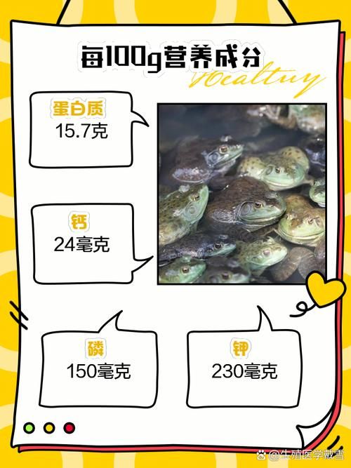 青蛙的食物有哪些？满足青蛙营养需求的喂食指南