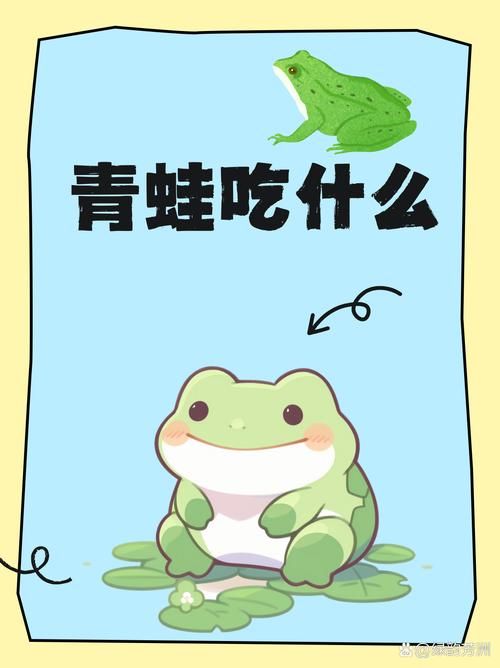 青蛙的食物有哪些？满足青蛙营养需求的喂食指南