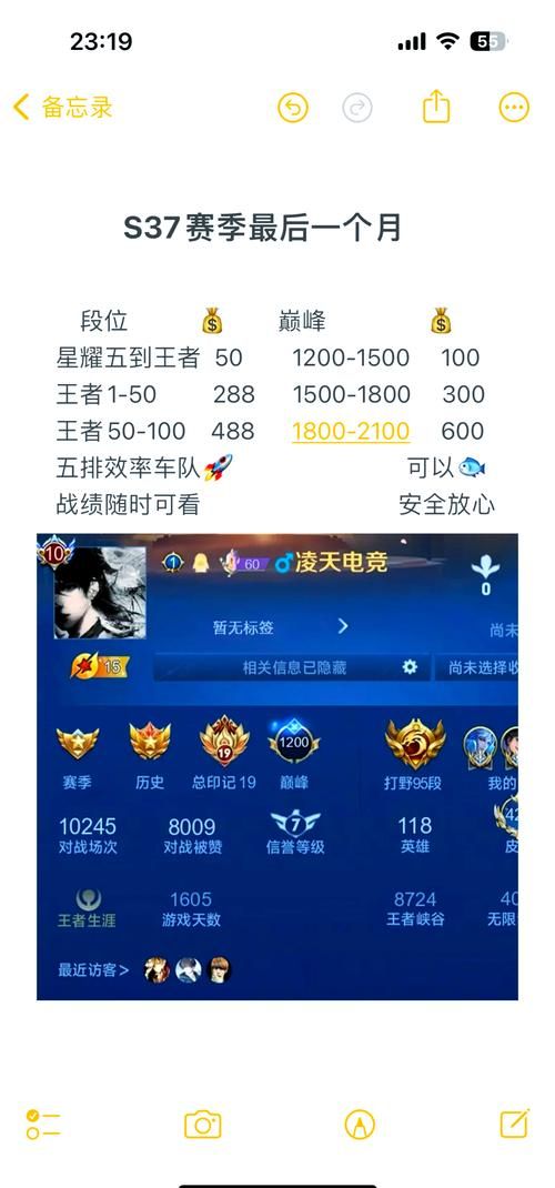 靠谱的游戏代练平台有哪些？选择代练平台的技巧分享