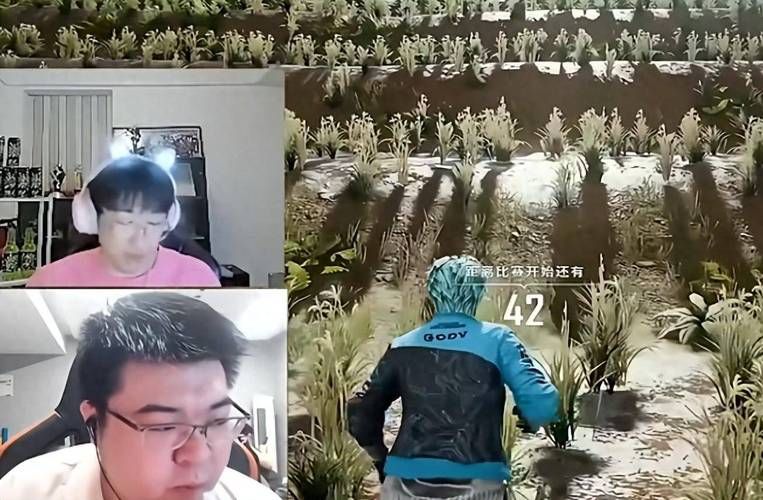 韦神虎牙直播：观看韦神直播，与大神一起游戏
