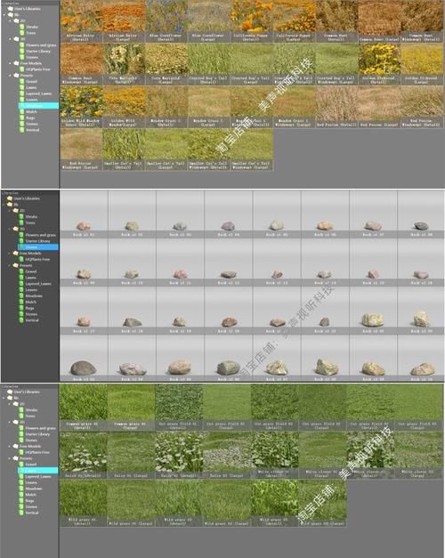 顶级3DMax森林插件：Forest Pack Pro功能全面解析