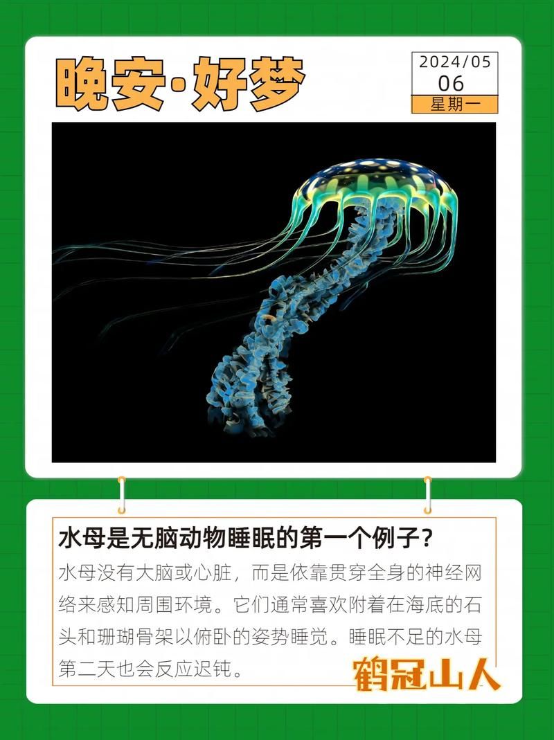 颠覆认知！水母没有大脑和心脏，它是怎么活着的？