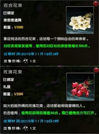风色幻想6秘籍与技巧：玩转游戏不再迷茫