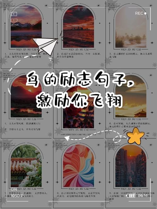 飞翔的小鸟：让孩子像小鸟一样自由飞翔
