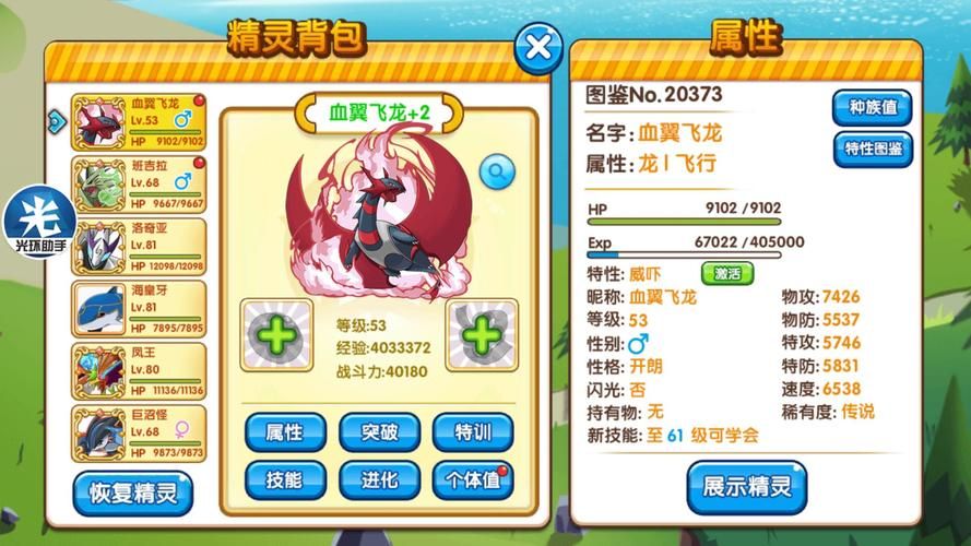 飞龙口袋好用吗？下载安装教程及使用体验分享