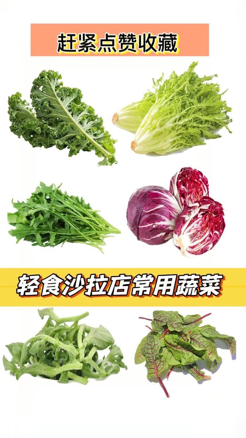 食之契约蔬菜沙拉怎么做？简单菜谱快速完成