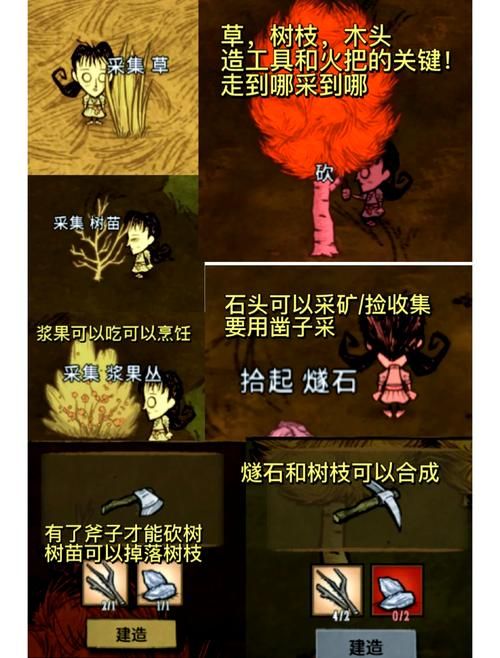 饥荒企鹅岛生存指南，冬季生存策略及应对方法