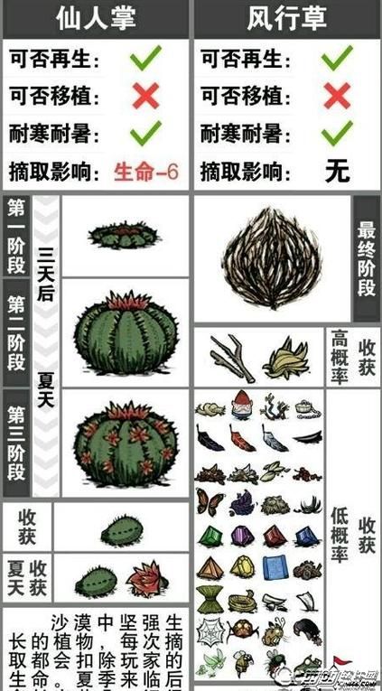 饥荒月树花有什么用？用途详解及获取方法！