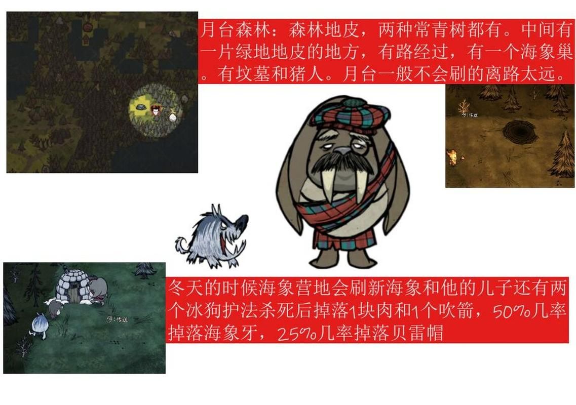 饥荒猪王怎么找？图文详解猪王位置及寻找技巧