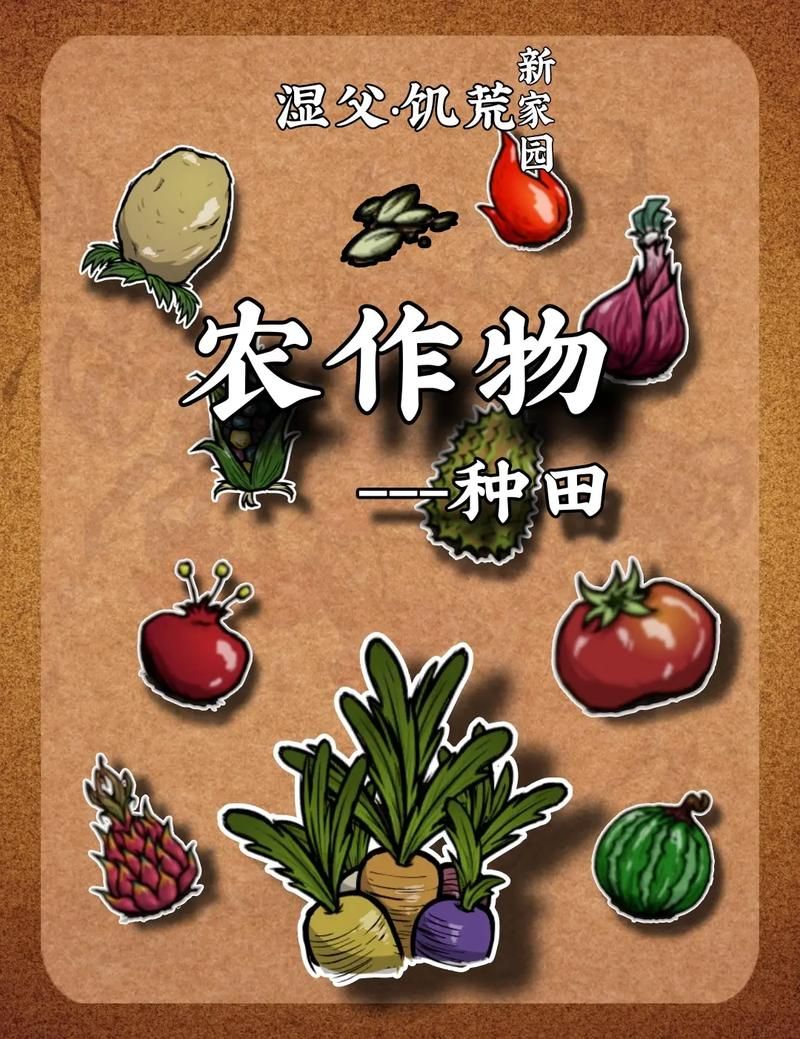 饥荒生存指南：高效种田方法与技巧分享