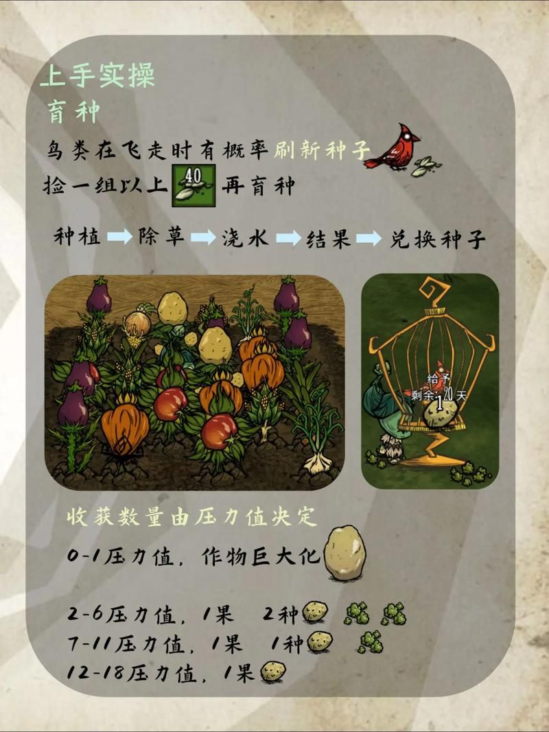 饥荒生存指南：高效种田方法与技巧分享