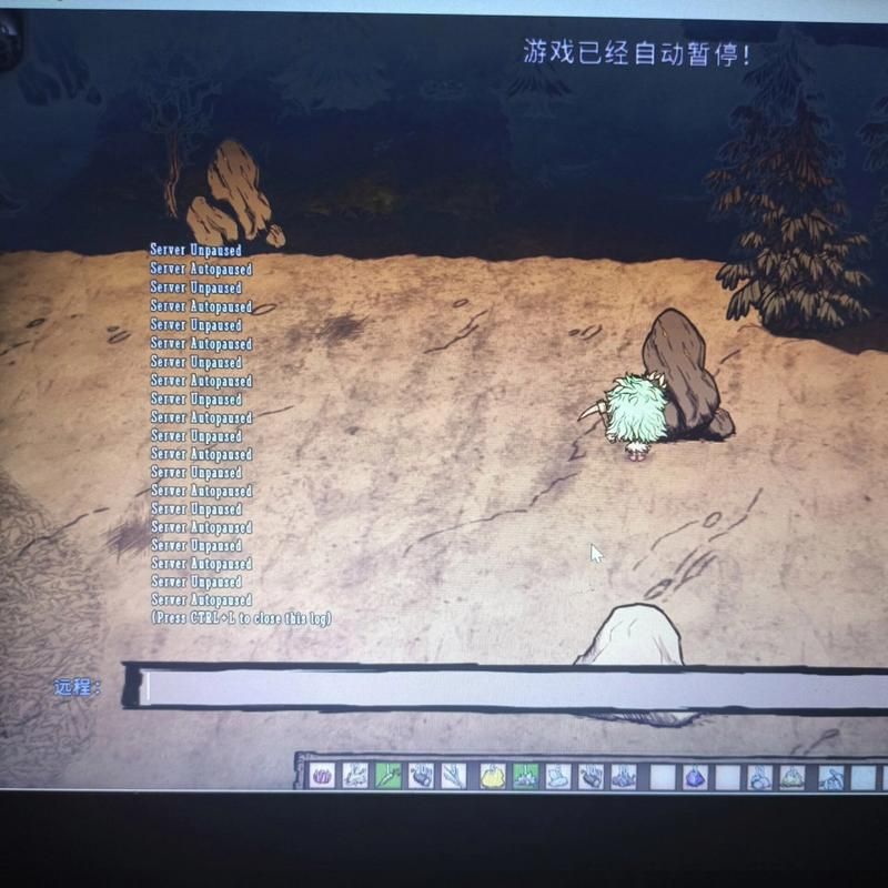 饥荒联机版地图全开代码分享：快速上手的实用技巧