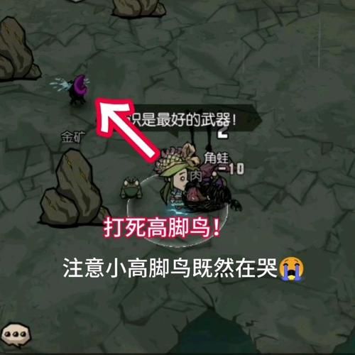 饥荒联机版高脚鸟：蛋的获取与孵化技巧