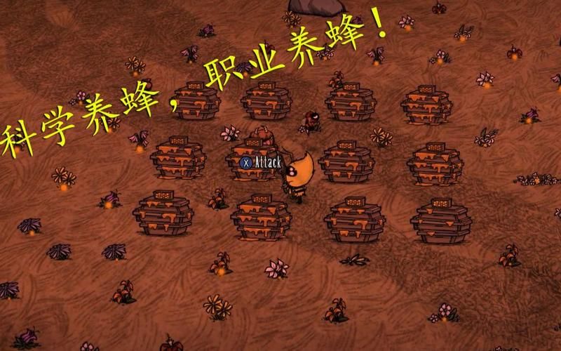 饥荒联机版：蜂箱蜂蜜采集指南及注意事项
