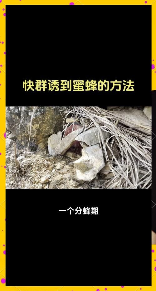饥荒蜂蜜产量提升：种植花朵，吸引更多蜜蜂的实用技巧