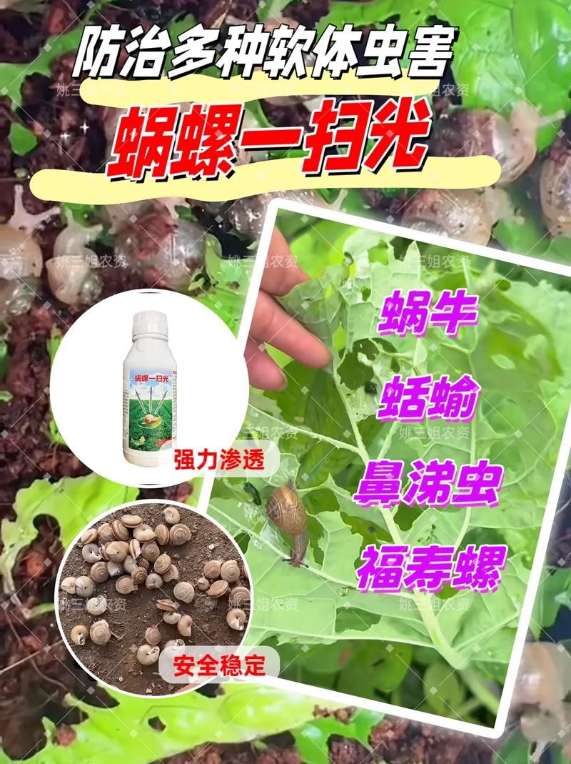 饥荒蜗牛粘液作用大揭秘：燃料？药品？还是陷阱？
