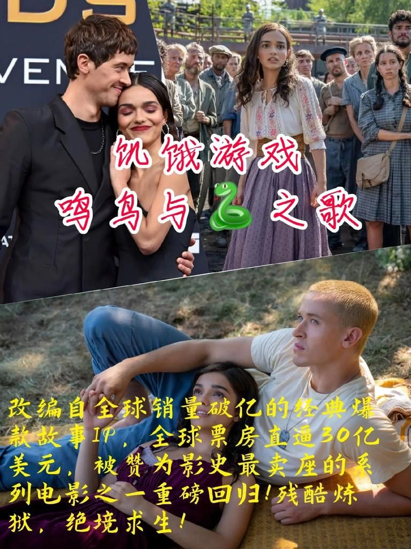 饥饿游戏主题曲介绍：深度解读歌曲创作背景及含义
