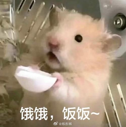 饿到变形表情包：超萌“饿饿饭饭”，约饭神器上线！