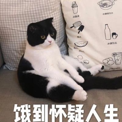 饿到变形表情包：超萌“饿饿饭饭”，约饭神器上线！