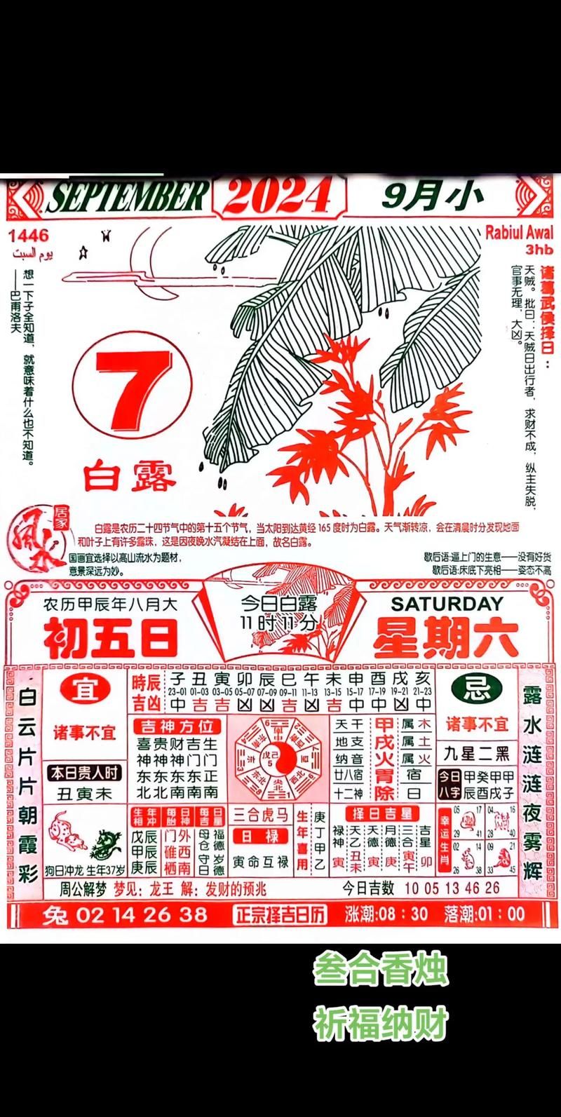 香港最准的资料免费公开：权威数据，免费分享，精准预测