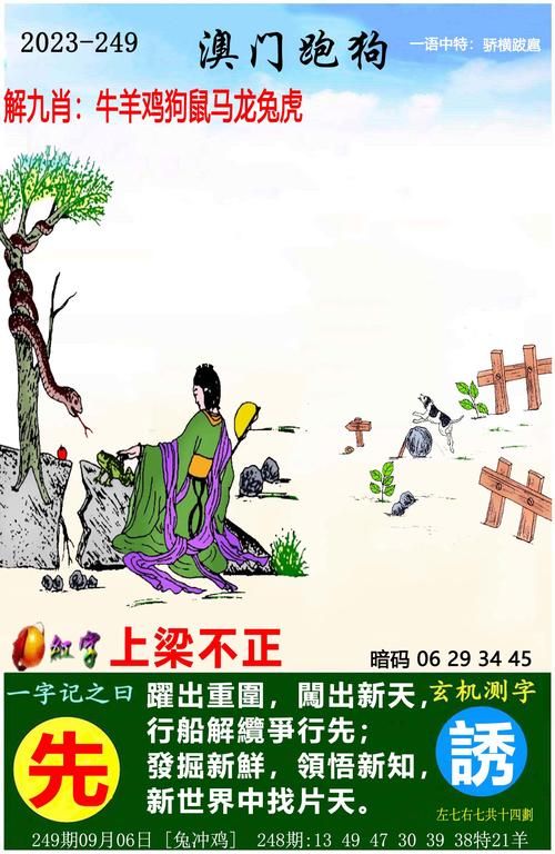 香港最准的资料免费公开：权威数据，免费分享，精准预测