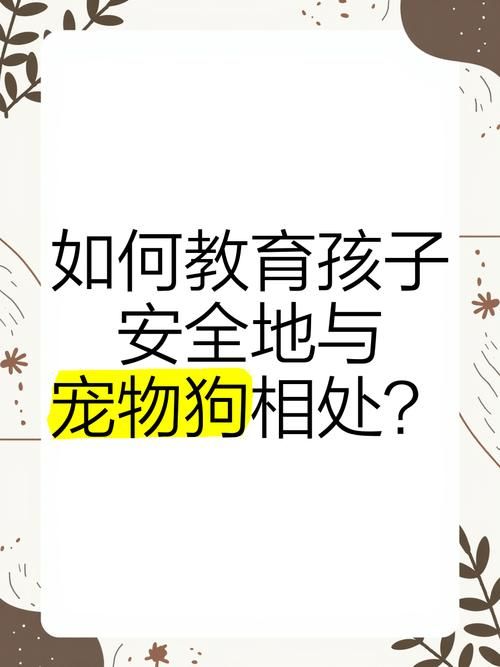 驯服它！告别宠物攻击行为，安全和谐的相处秘诀！