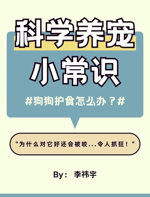 驯服它！告别宠物攻击行为，安全和谐的相处秘诀！