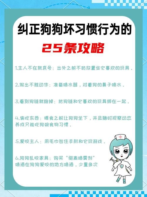 驯服它！告别宠物攻击行为，安全和谐的相处秘诀！