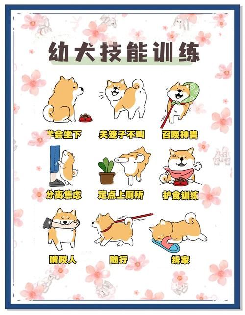 驯服宠物秘籍：新手也能轻松搞定宠物训练