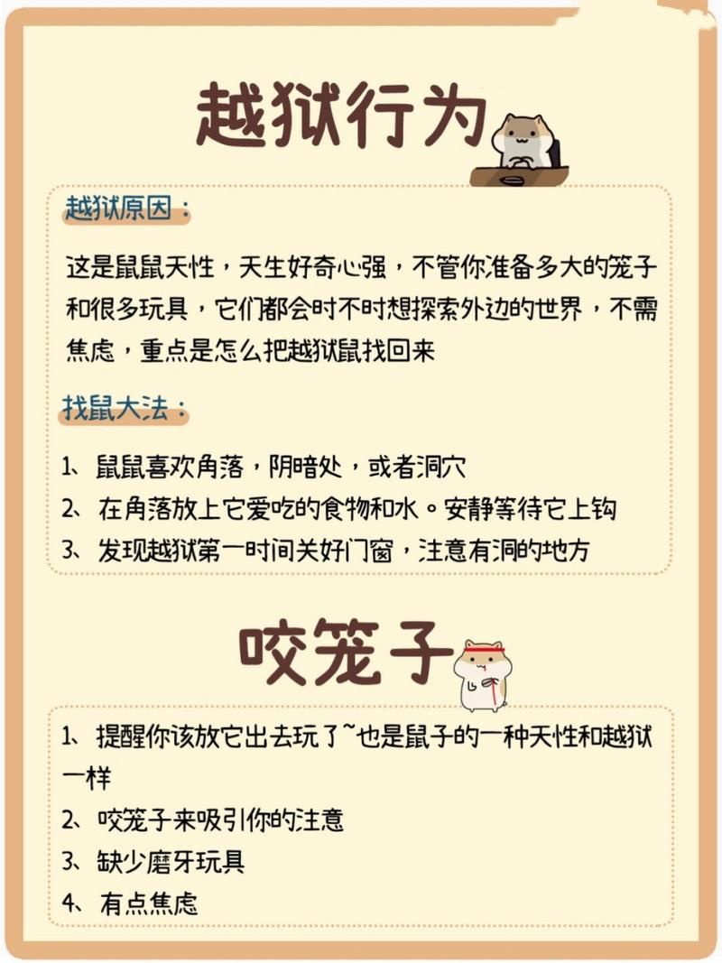 驯服宠物秘籍：新手也能轻松搞定宠物训练
