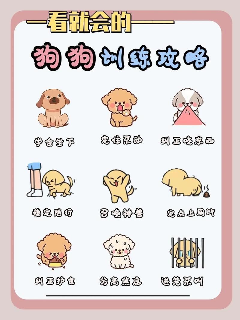 驯服宠物秘籍：新手也能轻松搞定宠物训练