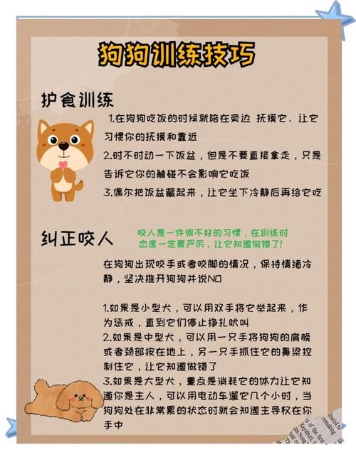 驯服宠物秘籍：新手也能轻松搞定宠物训练