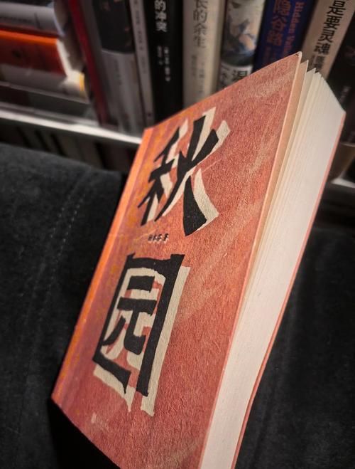 骑虎南下：时代洪流中的个人选择