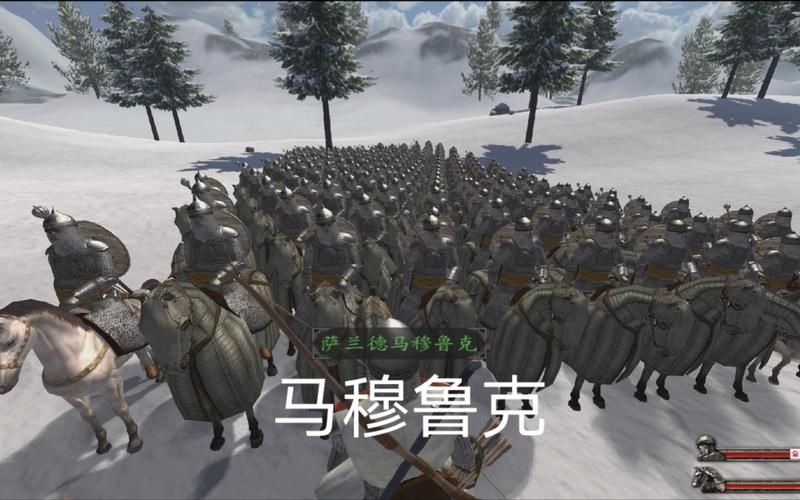 骑马与砍杀战团攻略秘籍：轻松称霸沙场