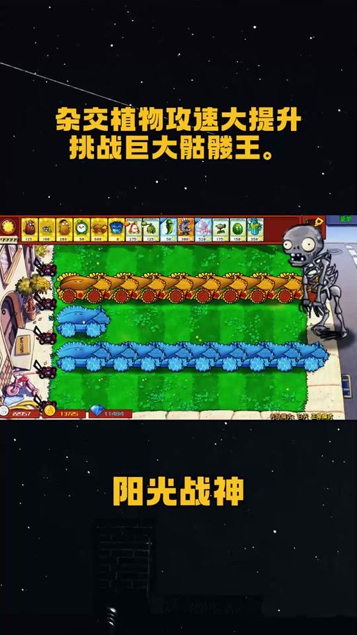 骷髅射手攻略：新手快速上手，轻松Carry全场