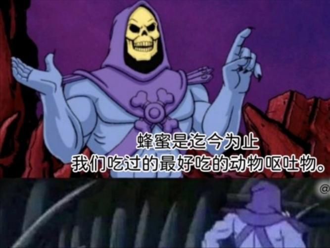 骷髅王攻略：新手必看！轻松击败骷髅王秘籍