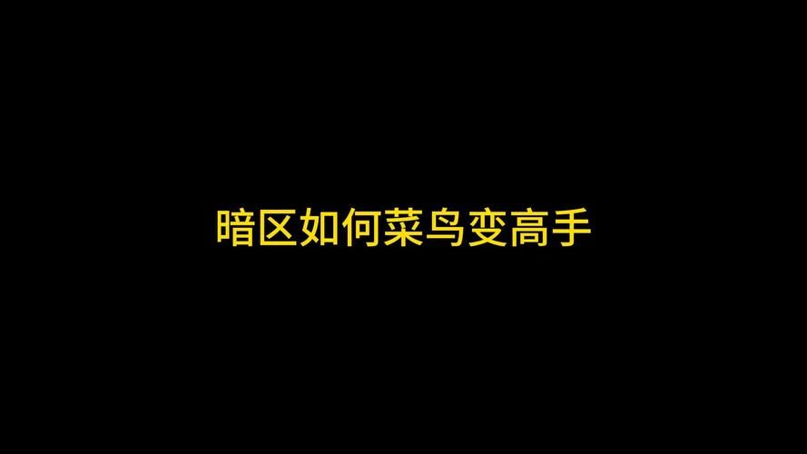 高手进阶区：告别菜鸟，成为真正高手