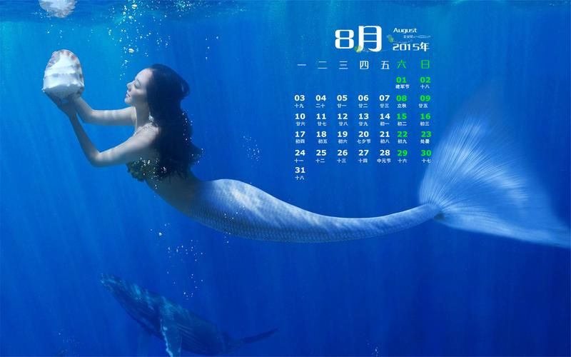 高速下载美人鱼百度云，告别卡顿缓冲