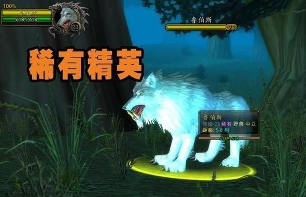 魔兽世界70级猎人：各类型宠物能力分析，帮你选出最合适的宝宝！