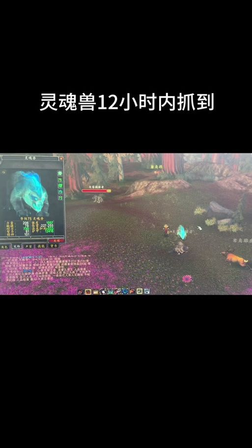 魔兽世界9.2灵魂交织任务指引，附详细步骤