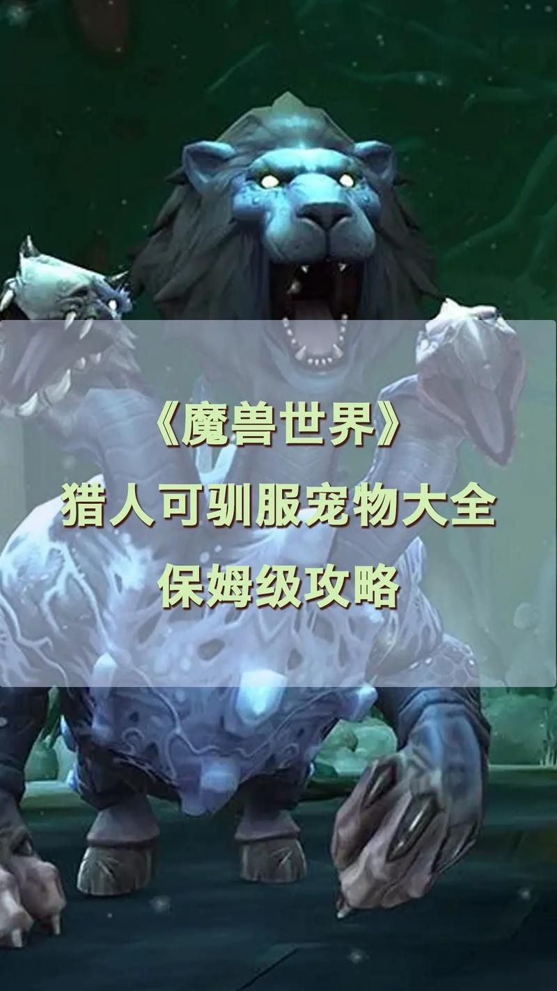 魔兽世界9.2版猎人必备宝宝：高效刷怪练级宠物推荐